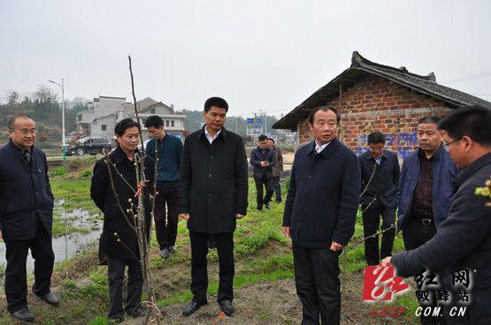 禹敏與第一師范黨委書記彭小奇商討白泥村脫貧攻堅(jiān)工作