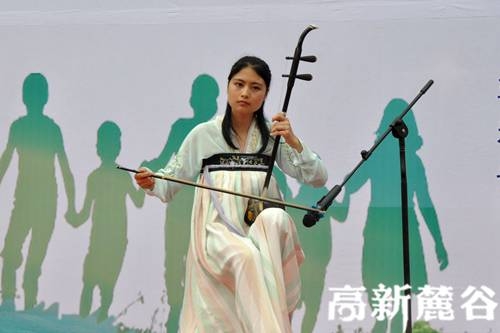 4.樂器表演《雨碎江南》讓人癡迷。葉小玲 攝.JPG